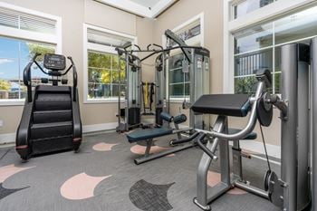 A gym with a treadmill, a bench press, and a squat rack.